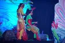 Enlarge photo 635