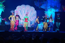 Enlarge photo 672
