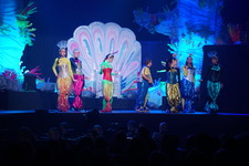 Enlarge photo 673