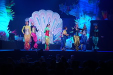 Enlarge photo 674