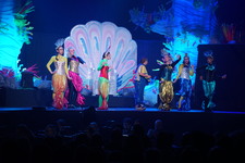 Enlarge photo 675