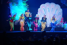 Enlarge photo 754