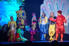 Enlarge photo 790