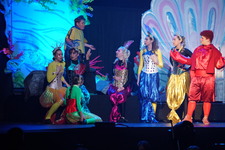 Enlarge photo 795