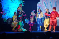 Enlarge photo 796