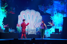 Enlarge photo 823