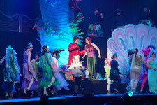 Enlarge photo 916