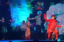 Enlarge photo 939