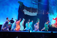 Enlarge photo 966