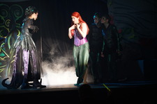 Enlarge photo 1315