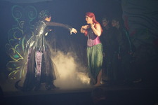 Enlarge photo 1326