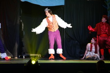 Enlarge photo 136