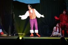 Enlarge photo 137