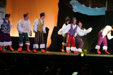 Enlarge photo 154