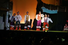 Enlarge photo 173