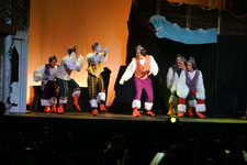 Enlarge photo 213