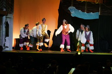 Enlarge photo 215