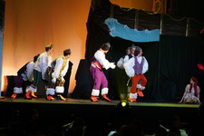 Enlarge photo 217
