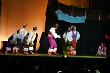Enlarge photo 219