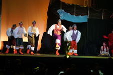 Enlarge photo 221