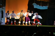 Enlarge photo 228