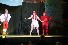 Enlarge photo 240