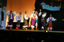 Enlarge photo 249