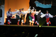 Enlarge photo 251