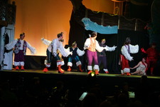 Enlarge photo 255