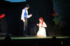 Enlarge photo 268