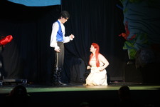 Enlarge photo 269