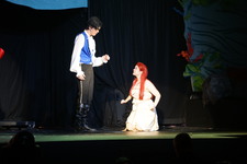 Enlarge photo 271