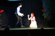 Enlarge photo 272