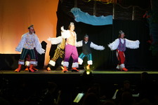 Enlarge photo 334