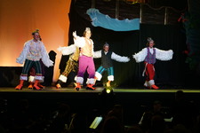 Enlarge photo 335