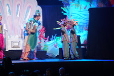 Enlarge photo 345