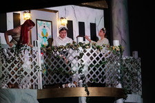 Enlarge photo 383