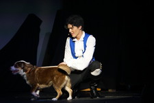 Enlarge photo 477