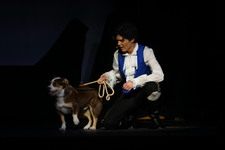 Enlarge photo 478