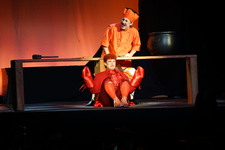 Enlarge photo 596