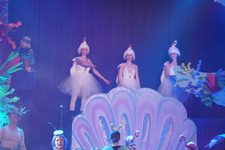 Enlarge photo 980