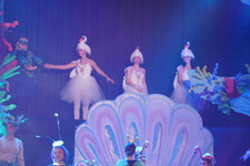 Enlarge photo 983