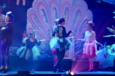 Enlarge photo 982