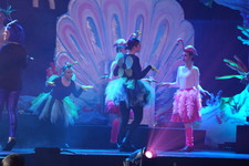 Enlarge photo 985