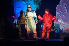 Enlarge photo 1105