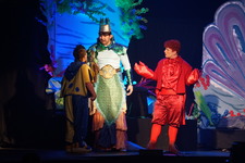 Enlarge photo 1112