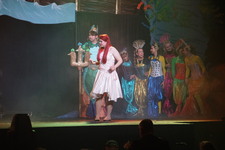 Enlarge photo 1554