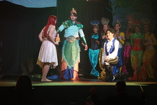 Enlarge photo 1582