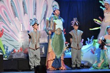 Enlarge photo 142