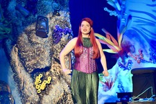 Enlarge photo 212